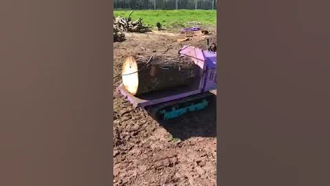 Canycom track dumper