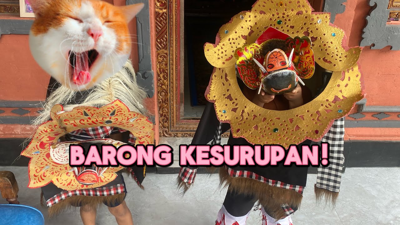 Kita Sembahyang dulu abis itu nari barong #barongbali #barongan #cintabudaya #bali 