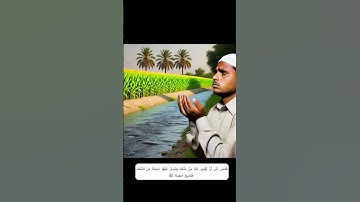 سورة الكهف الأيات 39 41