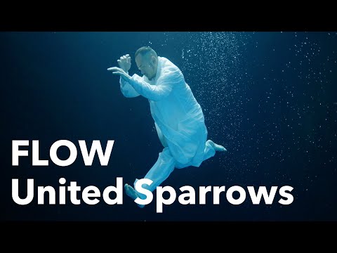 FLOW 『United Sparrows』MUSIC VIDEO