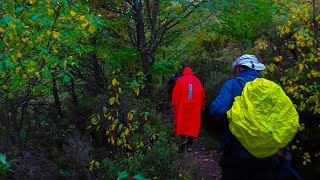 Valverde de los Arroyos - Chorreras de Despeñalagua (Guadalajara)