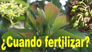 Cuando Fertilizar, 2do video del Curso de Fertilización
