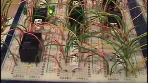 Relay Computer- Duo 14 Premium (Running Program)