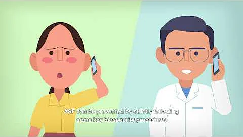 African swine fever (ASF) kills pigs