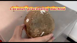 coconut processing machine line. #coconut #coconutprocessing #factory #machine #coconutoil