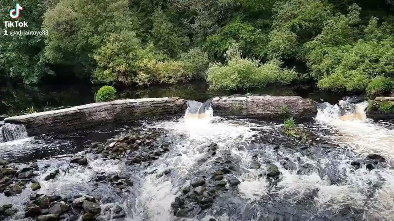 The salmon leap in Ramelton, Co.Donegal, Ireland YouTube