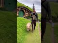 A male walking a capybara on the Lord of the Rings set #shortvideo #shortsfeed #shorts