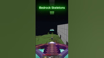 Java Skeleton vs Bedrock Skeleton #minecraft #minecraftmemes #minecraftshorts