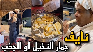 جمار النخيل او الجذب مع العسل 😍| سنابات حسين البقشي