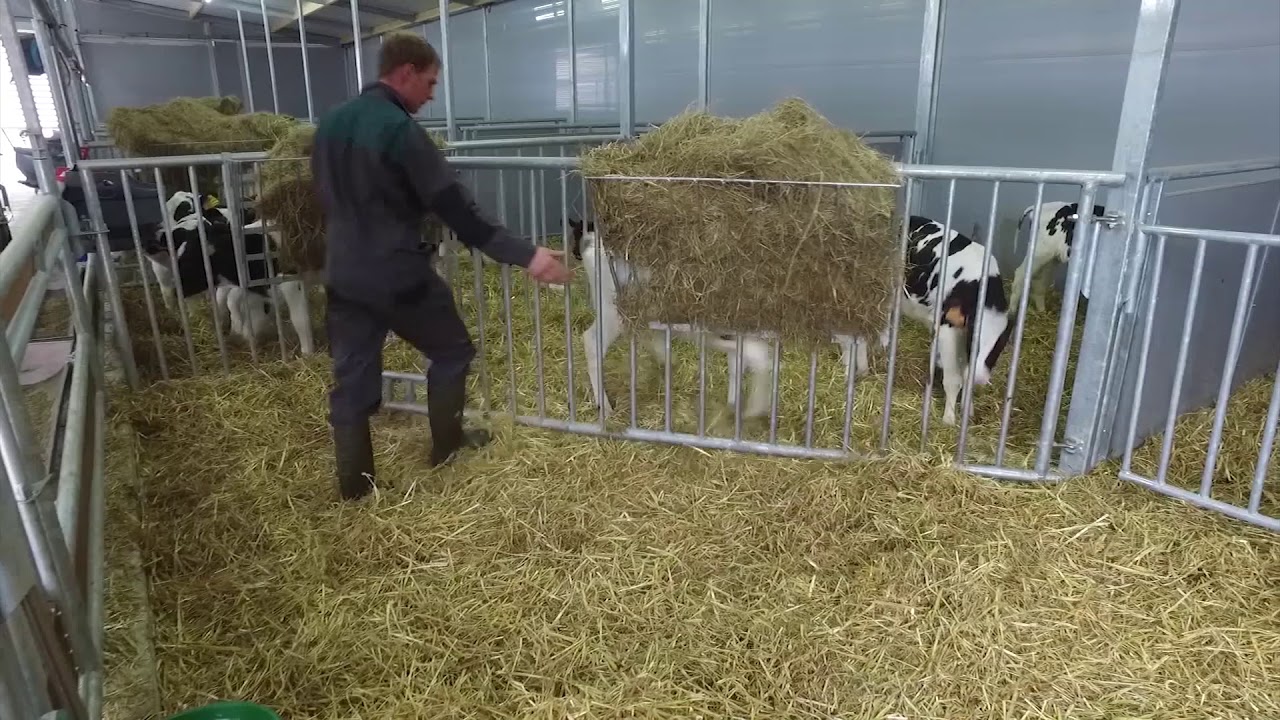 Calf Care System® | G. van Beek en Zn.