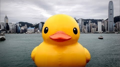 Giant Rubber Duckie Makes Waves in Hong Kong