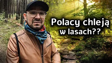 Polacy Lubią Chlac w Lesie