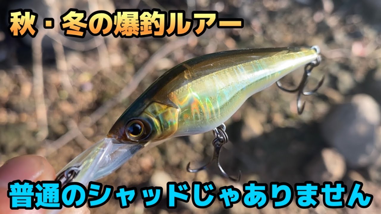 秋〜冬のバス釣りには必須ルアー。普通のようで普通じゃない新製品シャッド！【ラトゥール】【デュエル】【バス釣り】