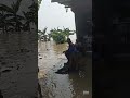 Banjir hari ini di kab grobogan kec gubug jawatengah