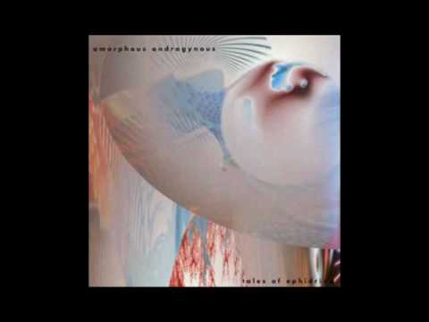Liquid InsectsAmorphous Androgynous