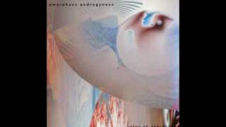 Liquid Insects - Amorphous Androgynous (Future Sound of London)