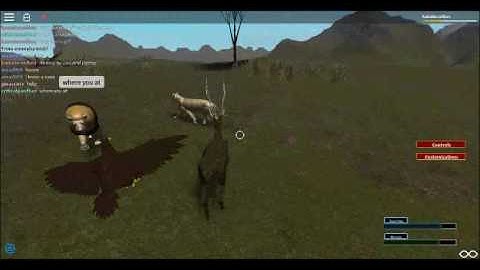 Survival (Pre-Alpha Testing)