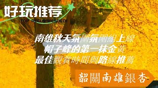 廣東最美秋天！韶關南雄銀杏保姆級攻略，金色海洋 + 隱藏機位 + 銀杏宴，深圳出發 2 小時直達！🍂🚗#深圳旅行 #廣東旅行 #深圳周邊遊 #深圳攻略 #深圳旅遊 #深圳公園
