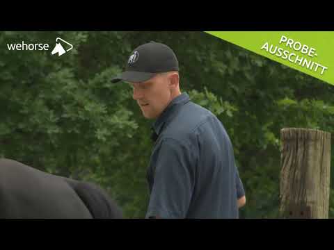 Natural Horsemanship verstehen: Parcours | Jenny Wild & Peer Claßen