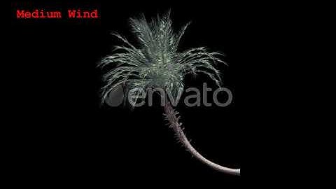 Tree v. 08 Side View Pack | Motion Graphics - Envato elements