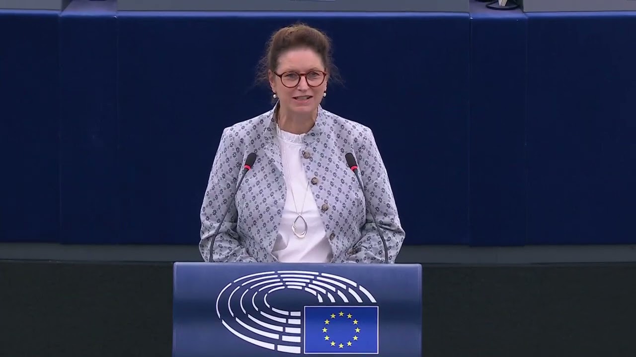 Дебаты в ЕС: будущее фермеров и реформы единой сельскохозяйственной политики после 2027 года | Ев...