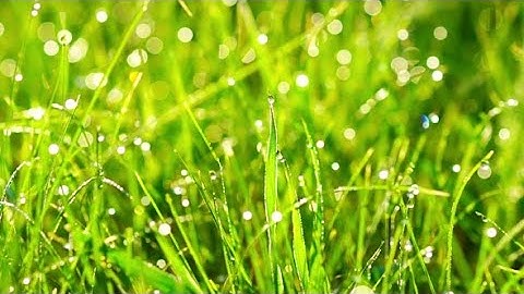 6 -  Part 2 -  Rounds of Creation and Redemption Lesson 1