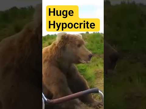 Nature’s Biggest Hypocrites 🐻 #shorts