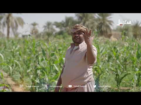 القوة عز... نهاية مأساوية لابو ألف
