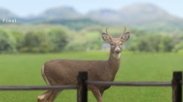 Roto & Compositing | VFX Breakdown | AE | Mocha