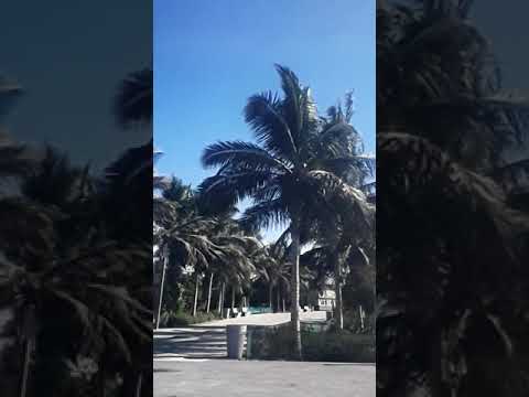 ياليله دانه يلا دانه يادان