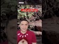 احدي أشكال الجن الحقيقي 