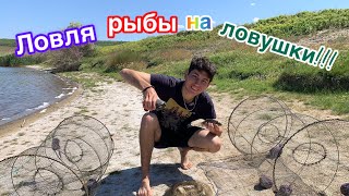 картинка: Ловля рыбы на две огромные ловушки(верши). Улов за 24 часа. Такого не ожидал…!