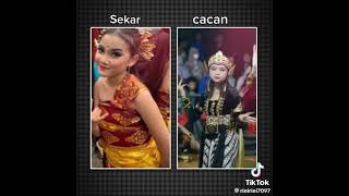 mbk Sekar dan mbk cacan #sekar #sekarnaripendet #cacan #garudawisnusatriamuda #gwsm_fans
