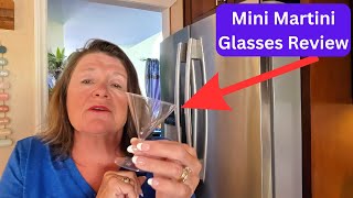 🍸 Elegant & Unbreakable! Yinkin 100 Pcs Clear Mini Martini Glasses Review 🎉