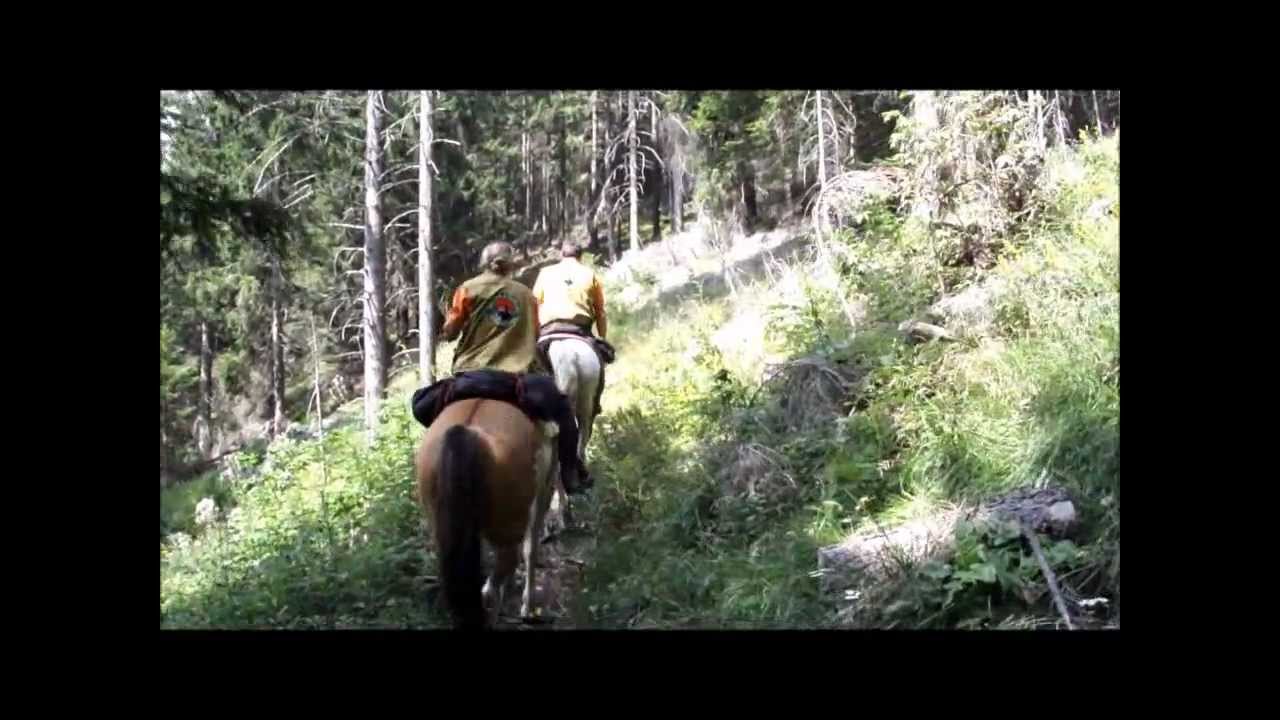 Rambo 3 Film Complet En Francais Youtube Star Sessions Maisie Secret 17 887 Star Sessions Photos And Premium 7BF