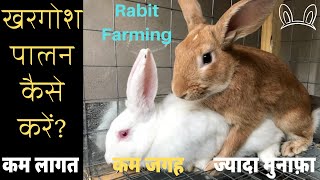 खरगोश पालन पुरी जानकारी, खरगोश पालने के फायदे,khargosh palan kaise karte hain Rabit Farming in Hindi