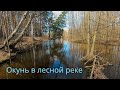 Микроджиг на лесной реке. 1-я Часть. КЛЮЕТ НА КАЖДОМ ЗАБРОСЕ! Окунь на ультралайт. Perch fishing.