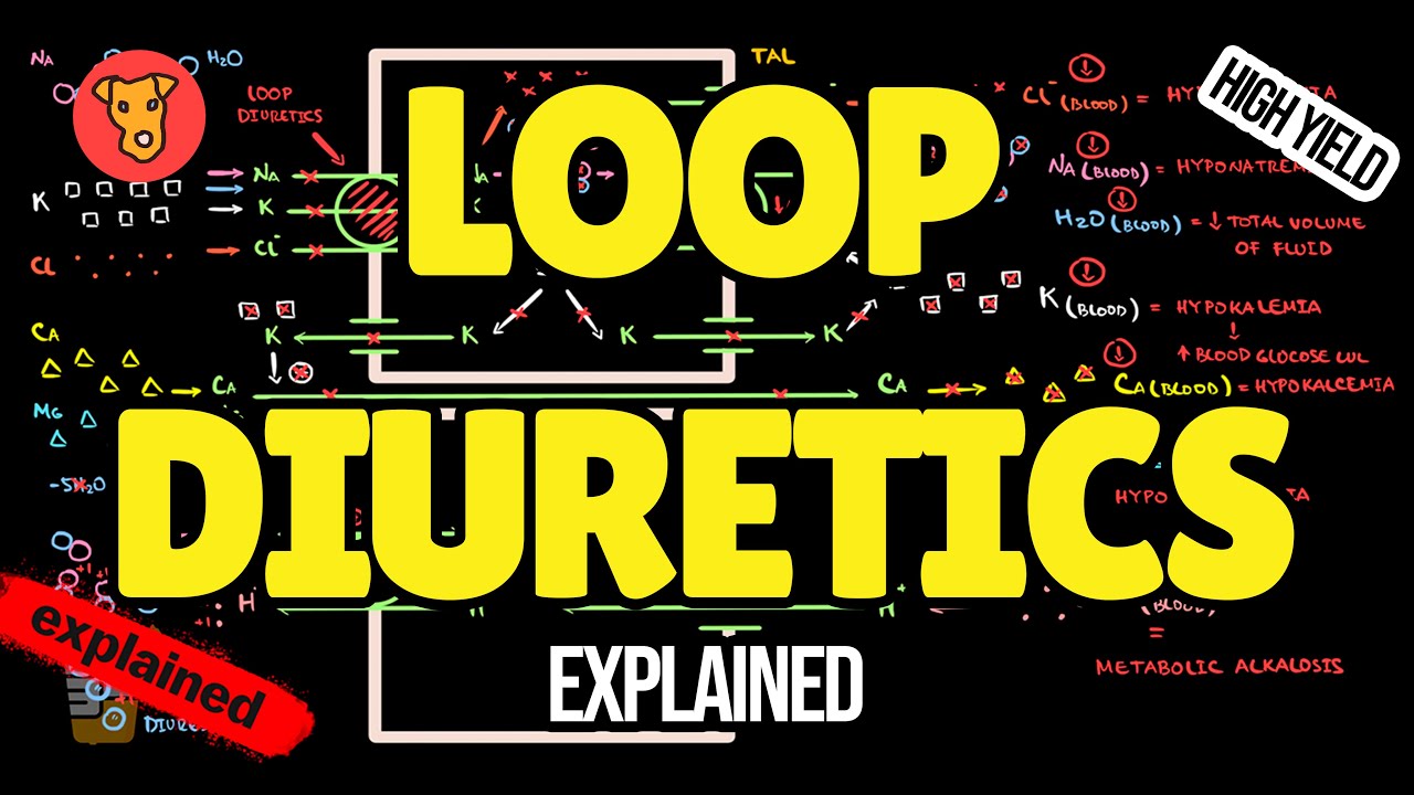 Loop Diuretics EXPLAINED: Mechanism, Side Effects & Clinical Use (USMLE High-Yield)