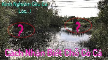 Kinh Nghiệm Câu Cá Lóc #1 || Cách Nhận Biết Chỗ Có Cá|| Nguyen Trong TV