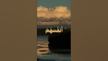 القارئ محمد صديق المنشاوي #اكسبلور #القرآن_الكريم #قرآن #راحة_نفسية #ايات_قرانيه_قصيره #viralvideo