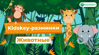 Животные | Весёлая разминка для детей | Музыкальная физкультминутка от Kidskey