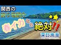 【深日漁港】アオリイカが産卵に集まる激アツな場所！〜関西のおすすめ釣り場紹介〜