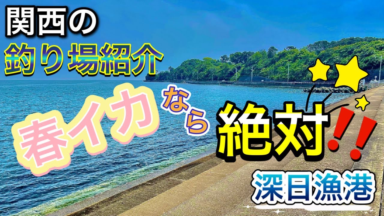 【深日漁港】アオリイカが産卵に集まる激アツな場所！〜関西のおすすめ釣り場紹介〜