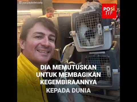 Video: Mencintai & Kehilangan Anjing Senior