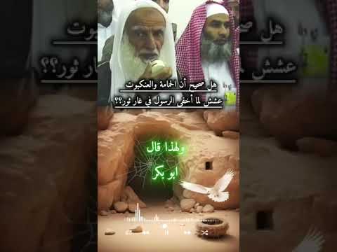 قصة العنكبوت والحمامة للشيخ محمد بن صالح العثيمين رحمه الله