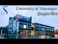 Campus Tour | University of Stavanger (Norway)