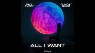 Sad Puppy & Sunday Shirt - All I Want