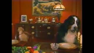 Good Boy 2003 - Dvd Spot 1