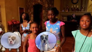 GHOST IN THE HOUSE PRANK!!! GHOST IN THE HOUSE PRANK!!!