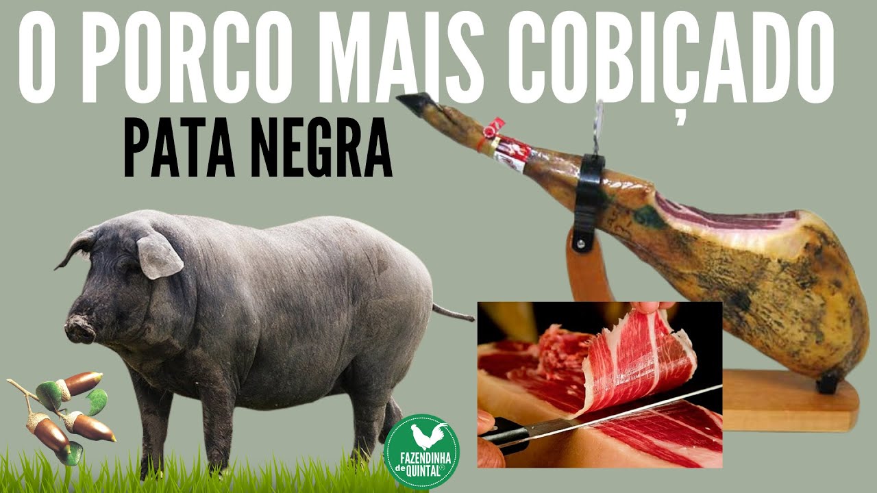 Qual O Preço Do Quilo Do Presunto Parma?